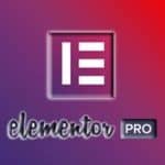 elementor-pro