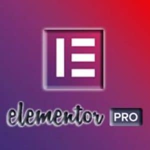 elementor-pro